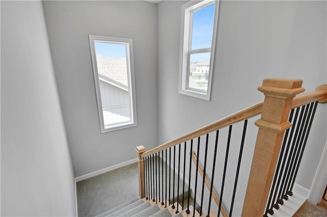 19629 W 196th St, Spring Hill, KS 66083 - stairs with plenty of natural light, carpet floors, and baseboards