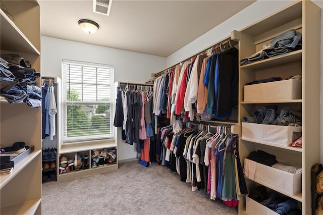 24318 W 91st Pl, Lenexa, KS 66227 - walk in closet featuring carpet flooring