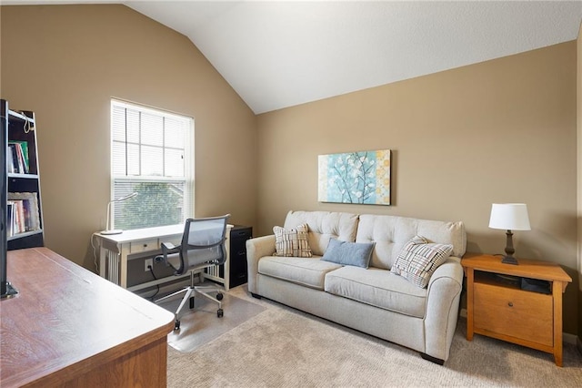 24318 W 91st Pl, Lenexa, KS 66227 - carpeted office featuring vaulted ceiling