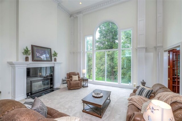 3109 W 118th St, Leawood, KS 66211 - carpeted living area with a high ceiling and a fireplace