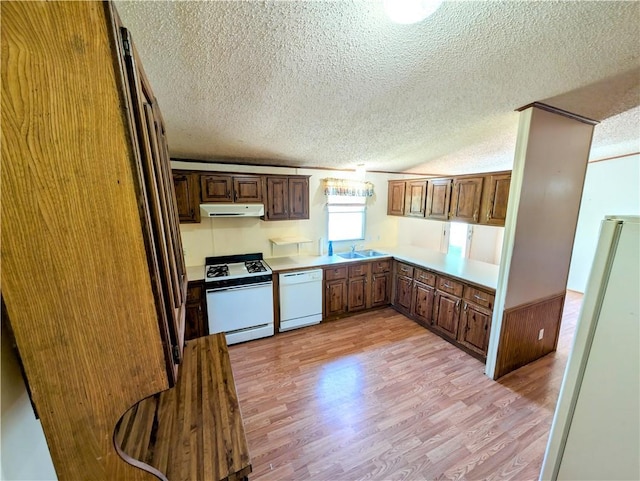 kitchen with white appliances, a textured ceiling, under cabinet range hood, a sink, and light wood-style flooring
