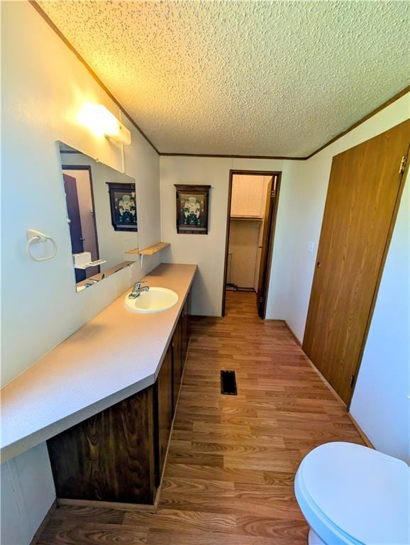 bathroom featuring wood finished floors, a textured ceiling, and vanity