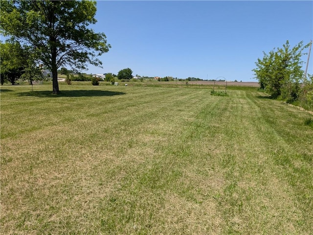 view of grassy yard featuring a rural view