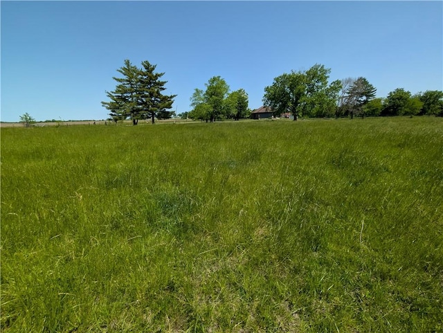 view of undeveloped land featuring rural landscape