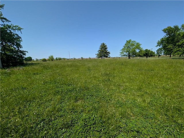 view of yard featuring a view of rural / pastoral area