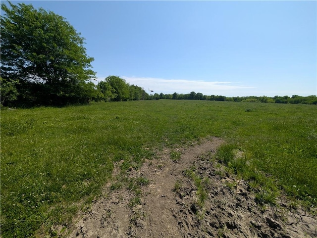 view of undeveloped land with rural landscape