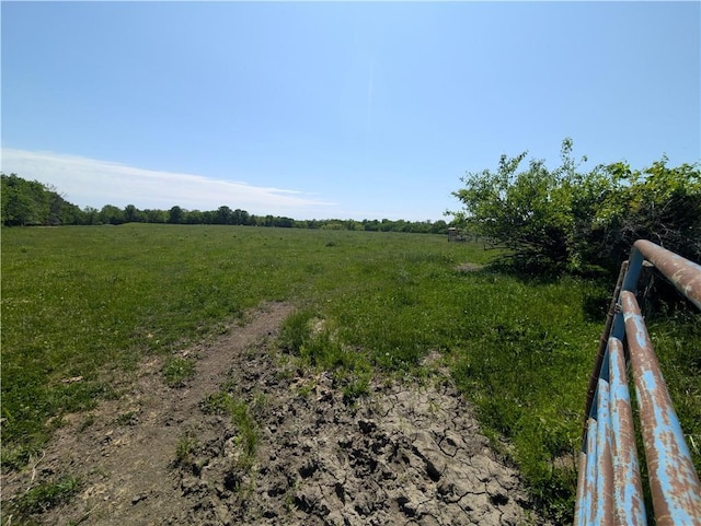view of yard featuring a rural view