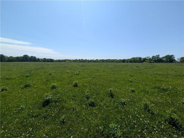view of local wilderness featuring rural landscape