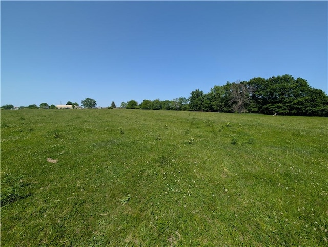 view of undeveloped land with rural landscape