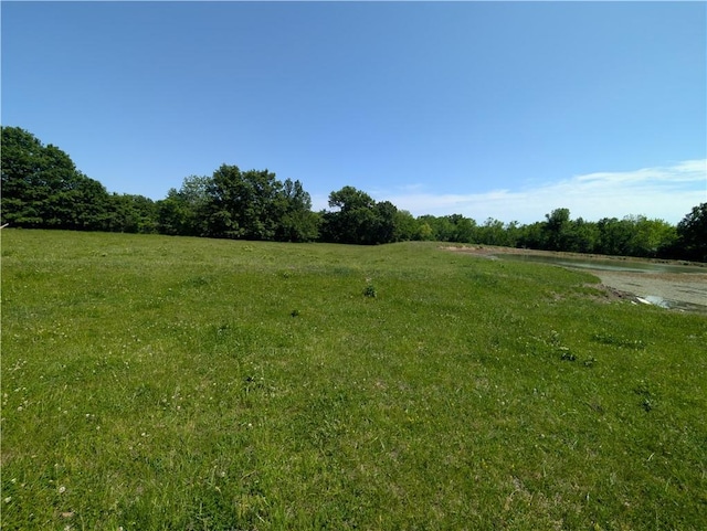 view of yard featuring a rural view