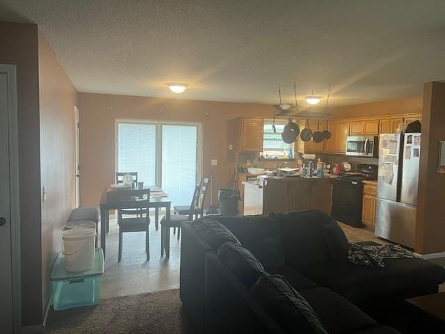 2216 Chanticleer St, Excelsior Springs, MO 64024 - view of living area