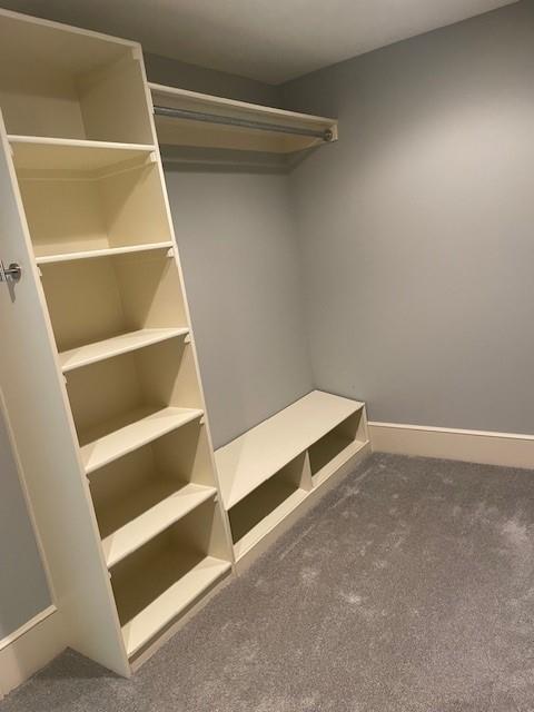 21162 147th St, Basehor, KS 66007 - spacious closet featuring carpet floors