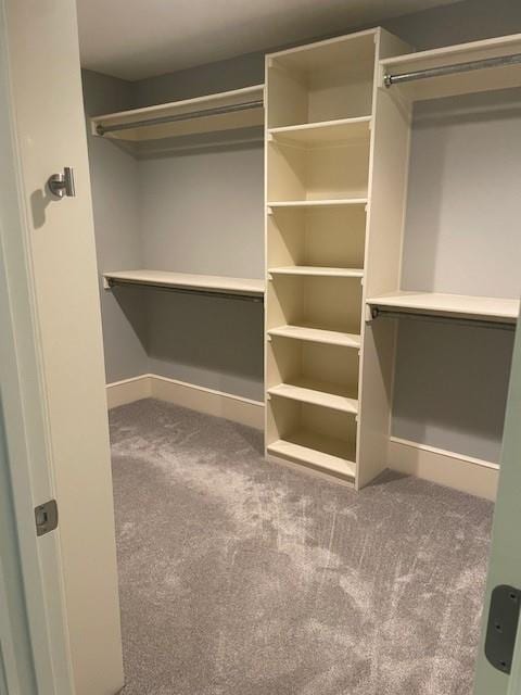 21162 147th St, Basehor, KS 66007 - spacious closet featuring carpet floors