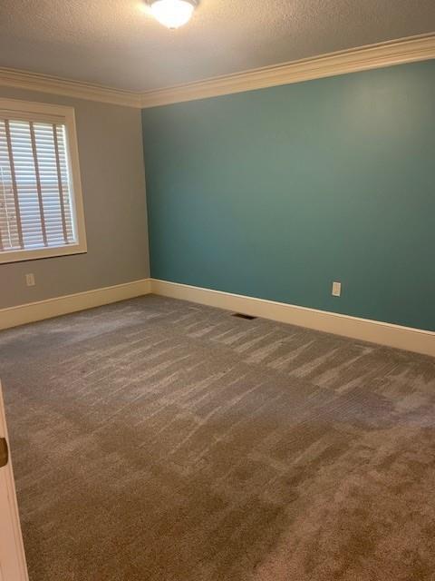 21162 147th St, Basehor, KS 66007 - empty room with crown molding, a textured ceiling, dark carpet, and baseboards