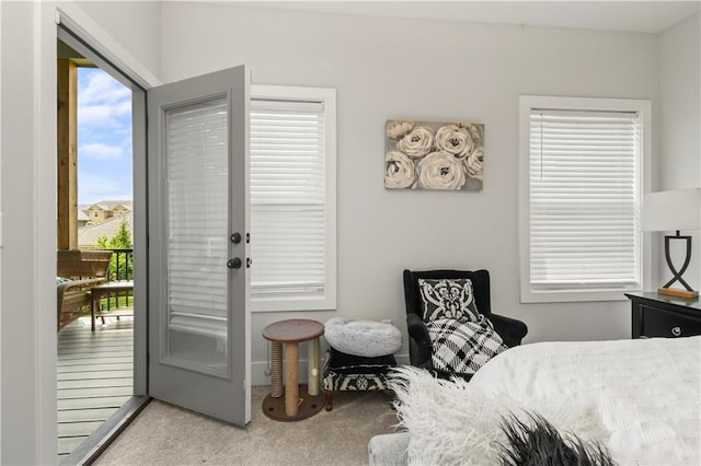 807 NE Algonquin St Unit B, Lees Summit, MO 64064 - bedroom featuring carpet floors