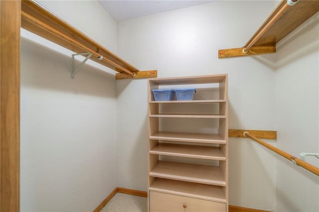25908 Colbern Rd, Lees Summit, MO 64086 - spacious closet with carpet floors