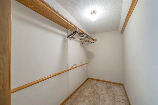 25908 Colbern Rd, Lees Summit, MO 64086 - walk in closet with light colored carpet