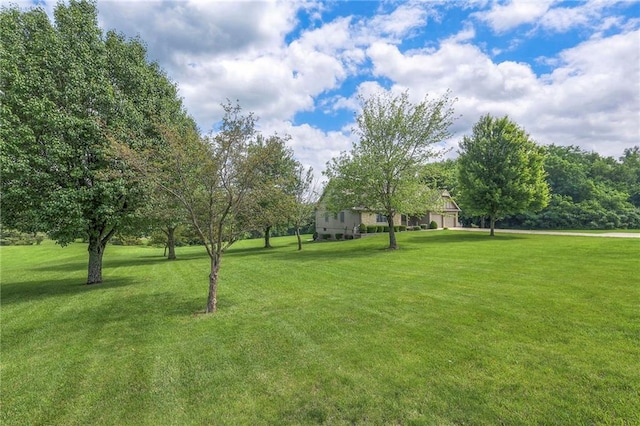 25908 Colbern Rd, Lees Summit, MO 64086 - view of green lawn