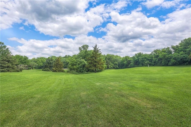 25908 Colbern Rd, Lees Summit, MO 64086 - view of grassy yard with a forest view