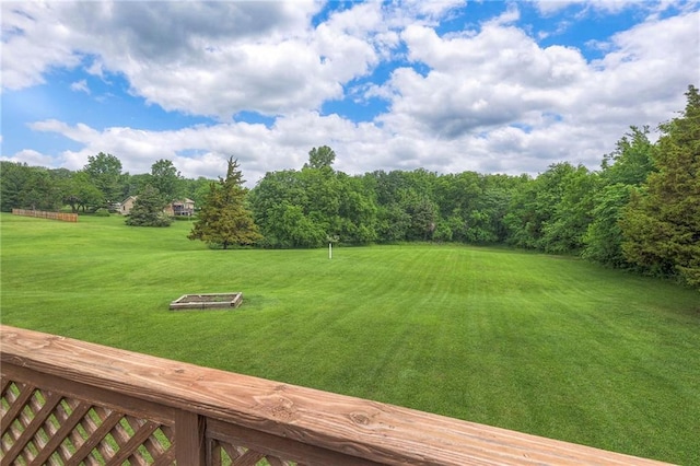 25908 Colbern Rd, Lees Summit, MO 64086 - view of green lawn