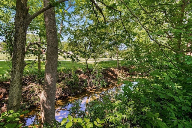 8911 W 104th St, Overland Park, KS 66212 - view of local wilderness
