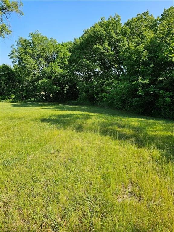 W 83rd St Unit 30720, De Soto, KS 66018 - view of wooded area