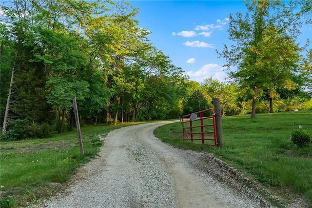 9425 NE 188th St, Trimble, MO 64492 - view of street featuring a view of trees