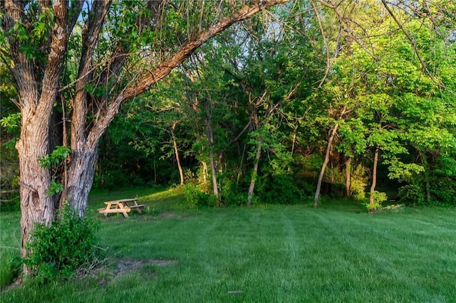 9425 NE 188th St, Trimble, MO 64492 - view of grassy yard with a wooded view