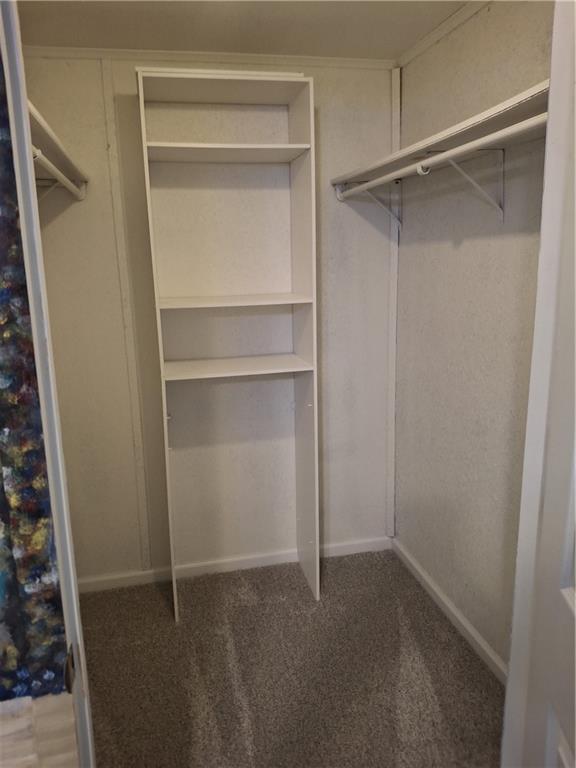 715 E Blackhawk St, Ottawa, KS 66067 - walk in closet with carpet floors