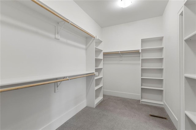 20611 W 113th St, Olathe, KS 66061 - walk in closet with carpet flooring