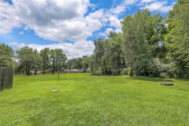 1875 E Mechanic Ave, Independence, MO 64050 - view of yard