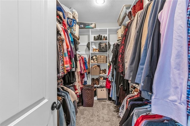 2409 SE Ridge Line Dr, Blue Springs, MO 64014 - walk in closet featuring carpet floors