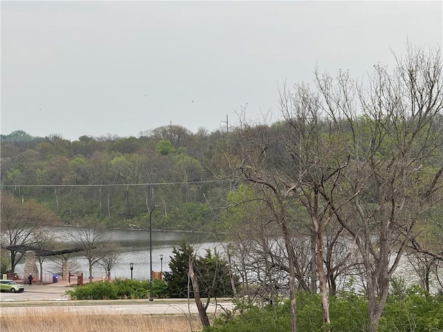9019 Freedom Cir, Lenexa, KS 66227 - water view featuring a heavily wooded area
