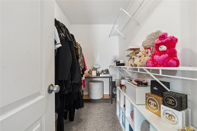 21607 W 51st St, Shawnee, KS 66226 - walk in closet with carpet