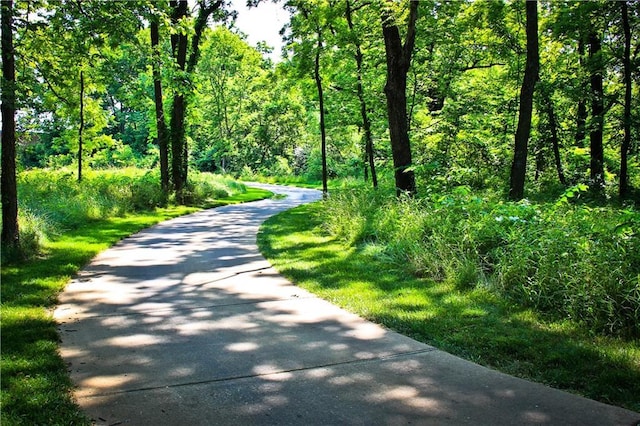 602 Mayfair Ct, Raymore, MO 64082 - view of road with a forest view