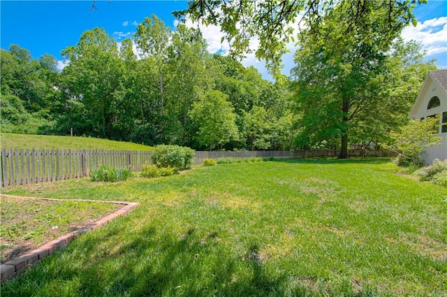 17725 W 68th Ter, Shawnee, KS 66217 - view of yard