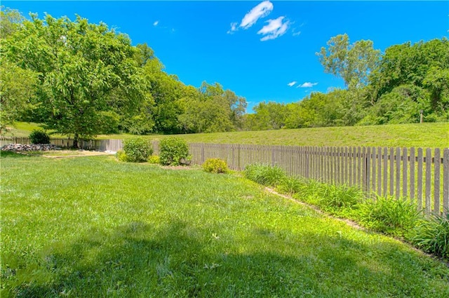 17725 W 68th Ter, Shawnee, KS 66217 - view of yard