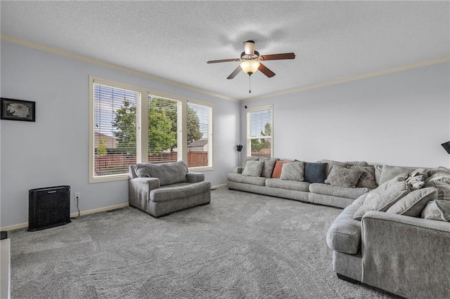 635 N Laurel St, Gardner, KS 66030 - carpeted living area featuring crown molding, a ceiling fan, baseboards, and a textured ceiling