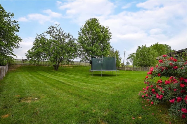 611 N Winnebago Dr, Lake Winnebago, MO 64034 - view of yard featuring a trampoline