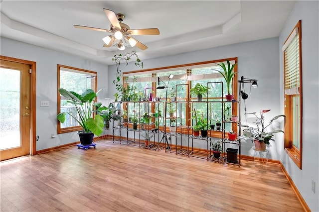 7608 N Serene Ave, Kansas City, MO 64152 - exercise area with a tray ceiling, wood finished floors, baseboards, and a ceiling fan