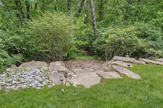 4507 N Mulberry Dr, Kansas City, MO 64116 - photo 82