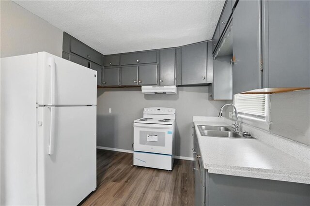 5609 E 101st St, Kansas City, MO 64137 - kitchen with white appliances, under cabinet range hood, a sink, gray cabinets, and a textured ceiling