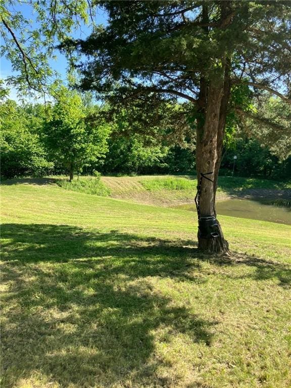 54 Bear Dr, Mound City, KS 66056 - photo 2