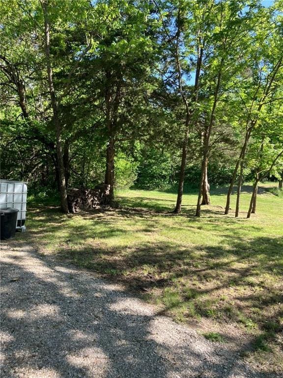 54 Bear Dr, Mound City, KS 66056 - photo 31