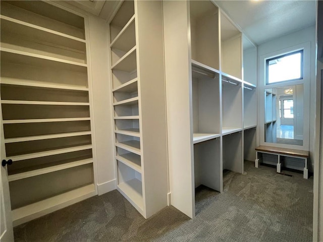 17000 Rosehill St, Overland Park, KS 66221 - walk in closet featuring dark colored carpet