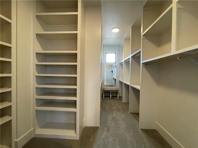 17000 Rosehill St, Overland Park, KS 66221 - walk in closet with dark colored carpet