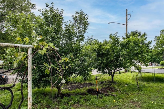 2738 S Crysler Ave, Independence, MO 64052 - view of yard featuring a trampoline