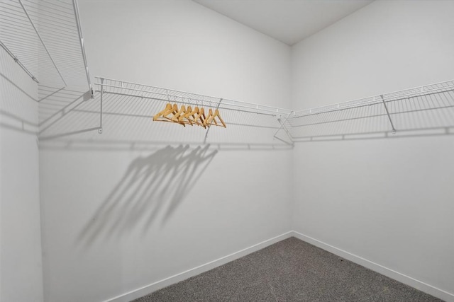2208 Crestview Pl, Raymore, MO 64083 - walk in closet featuring dark colored carpet