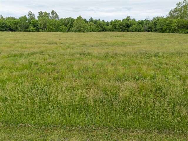13077 Burns School Rd, Higginsville, MO 64037