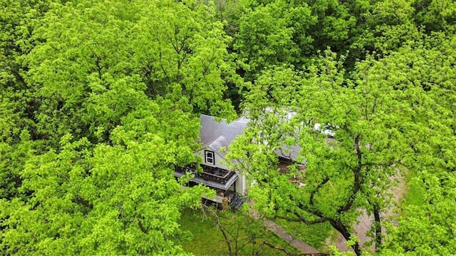 7508 Walnut St, Pleasant Valley, MO 64068 - view of subject property featuring a forest
